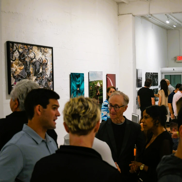 Art Miami Turns 36: What to Know Before You Walk In